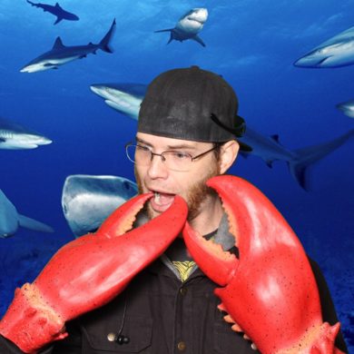 Sharks