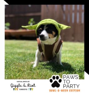 Dog in yoda costume poses in virtual photo booth